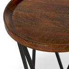 Table d'appoint Lamar en bois de manguier brun moyen